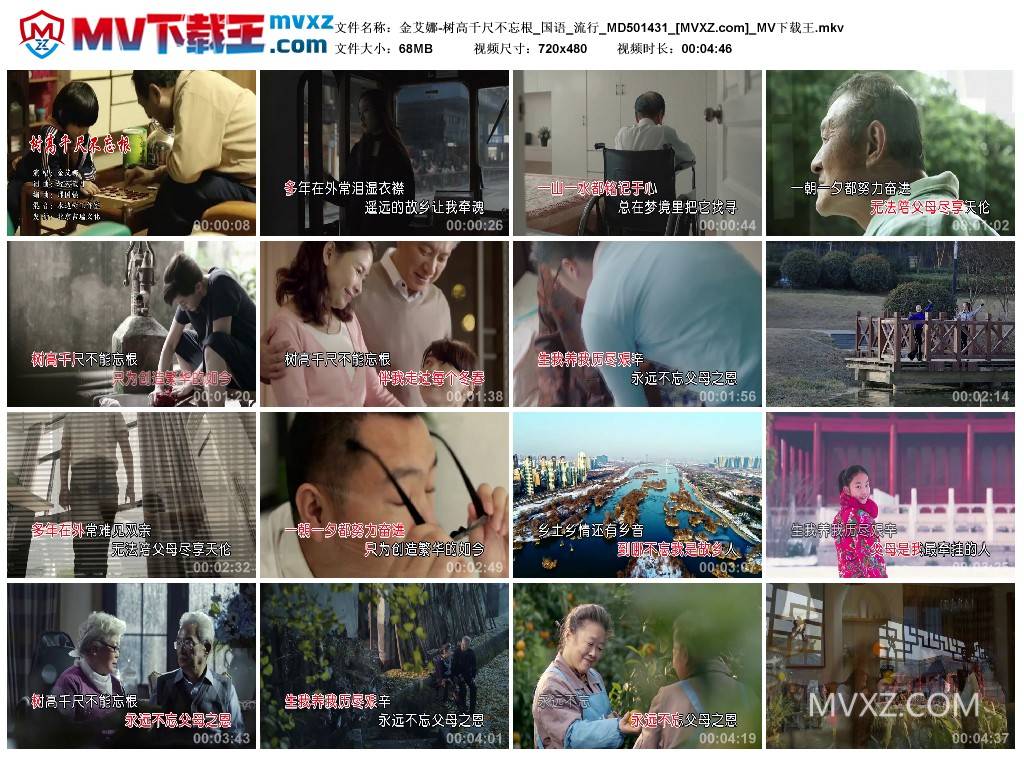 金艾娜-树高千尺不忘根_国语_流行_MD501431